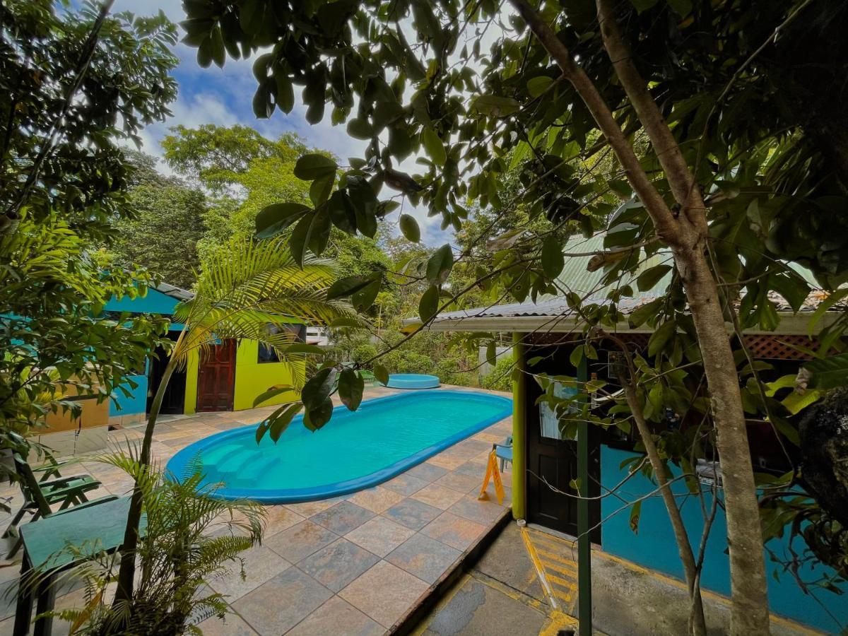 Los Amigos Jungle Hotel Tortuguero Exteriör bild