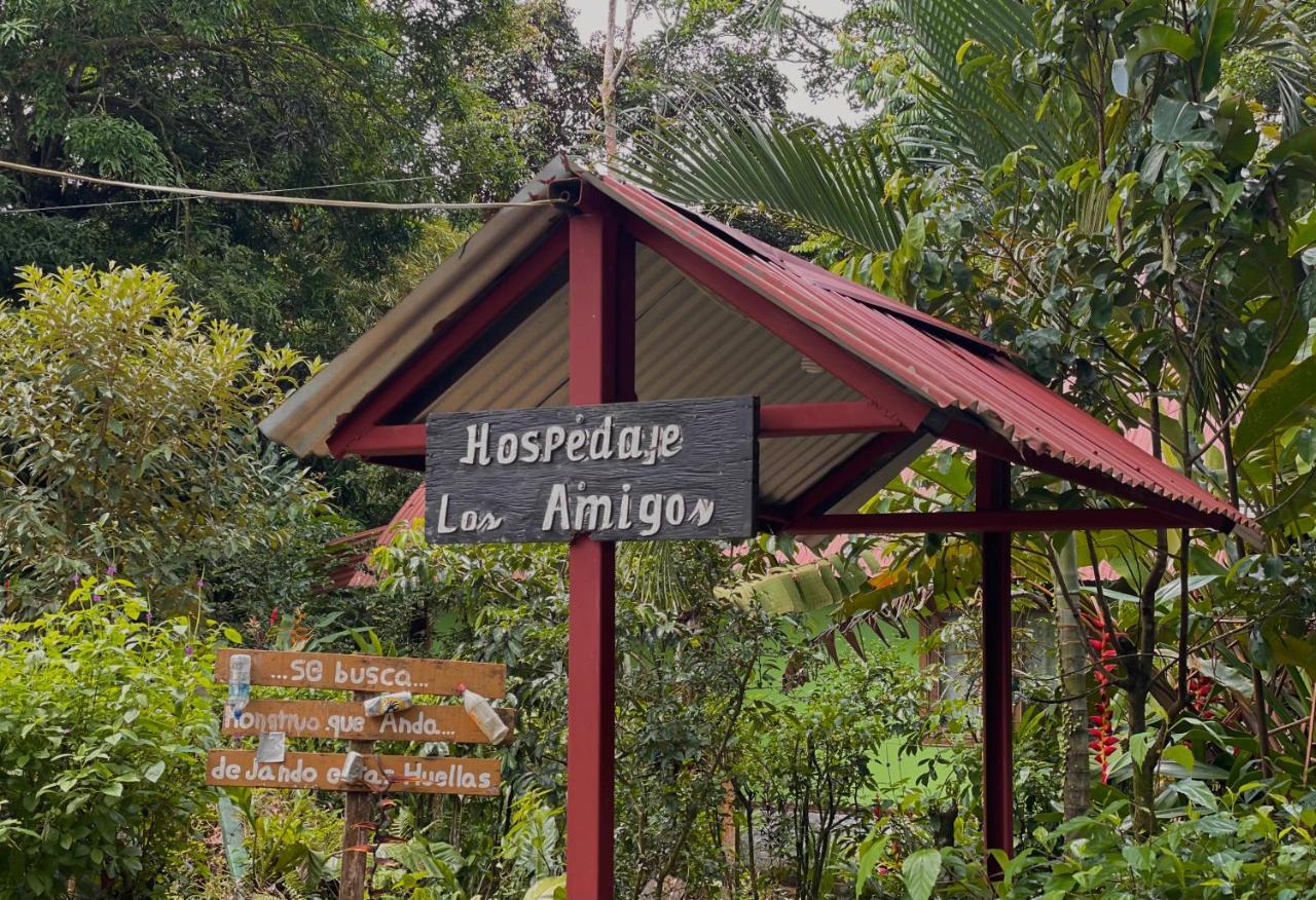 Los Amigos Jungle Hotel Tortuguero Exteriör bild