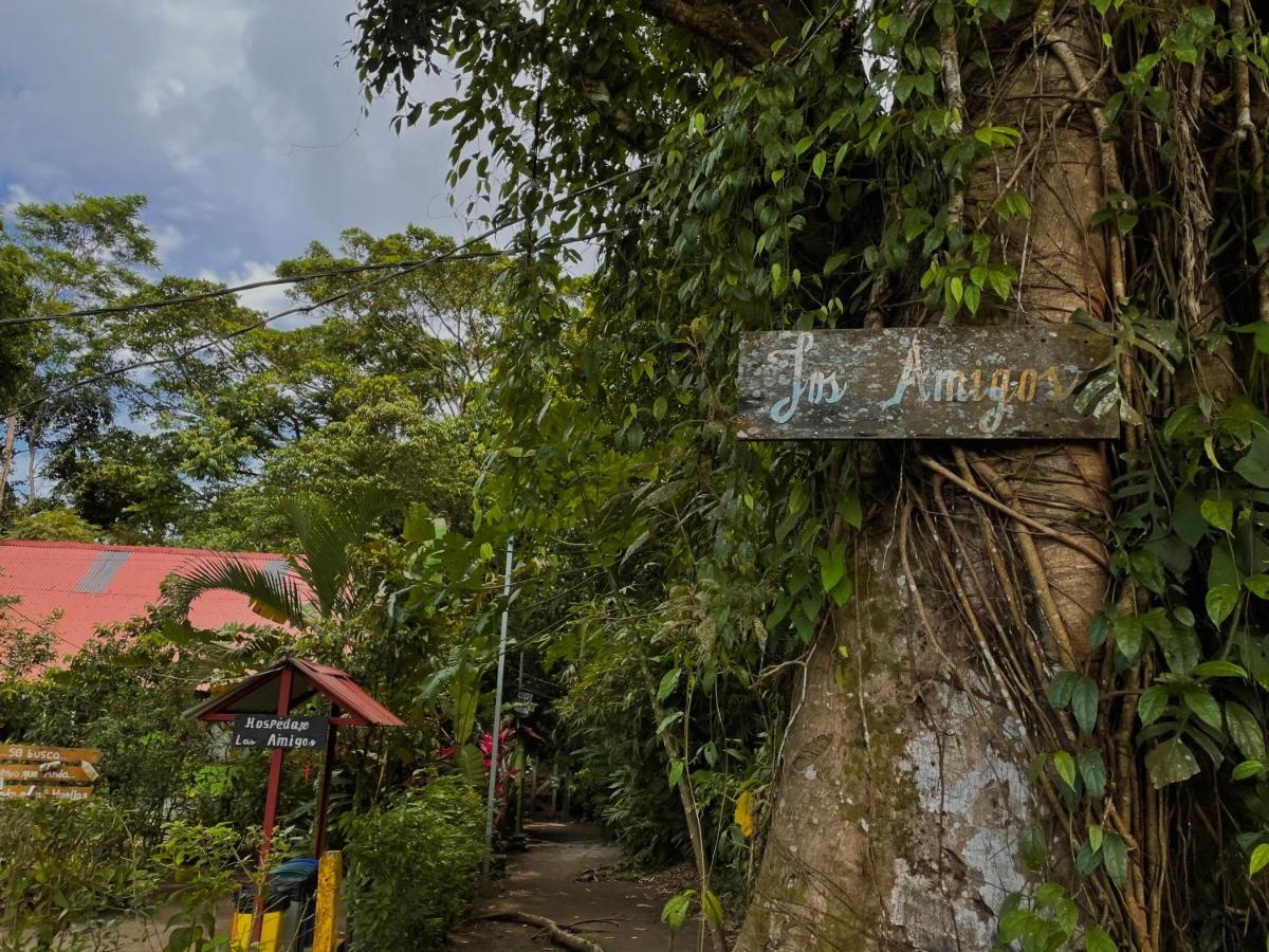 Los Amigos Jungle Hotel Tortuguero Exteriör bild