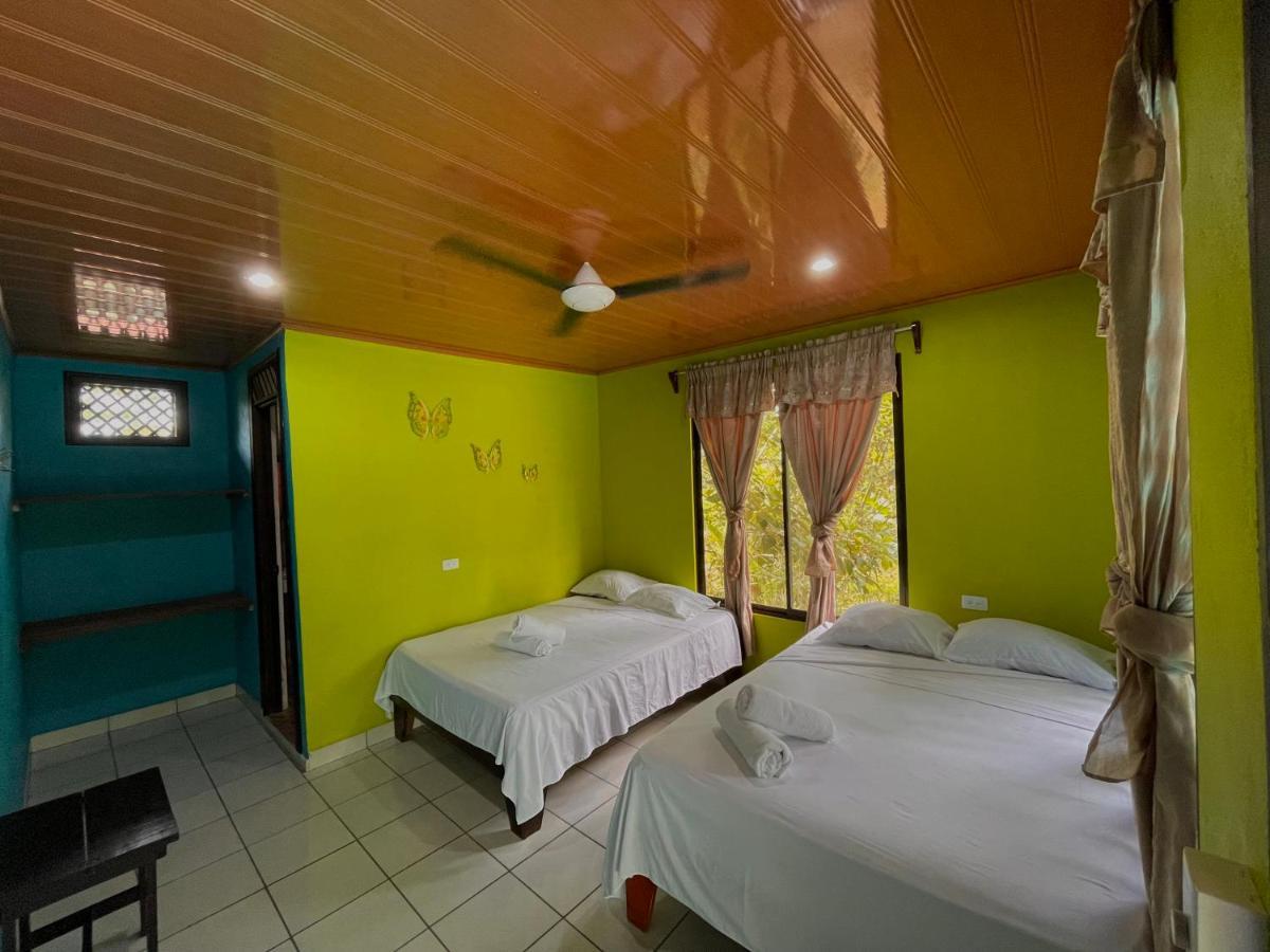 Los Amigos Jungle Hotel Tortuguero Exteriör bild