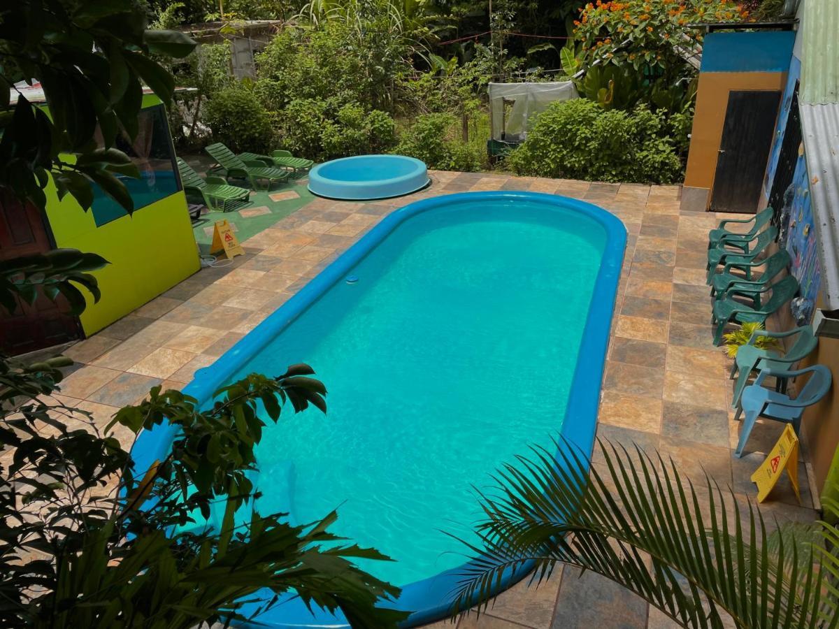 Los Amigos Jungle Hotel Tortuguero Exteriör bild