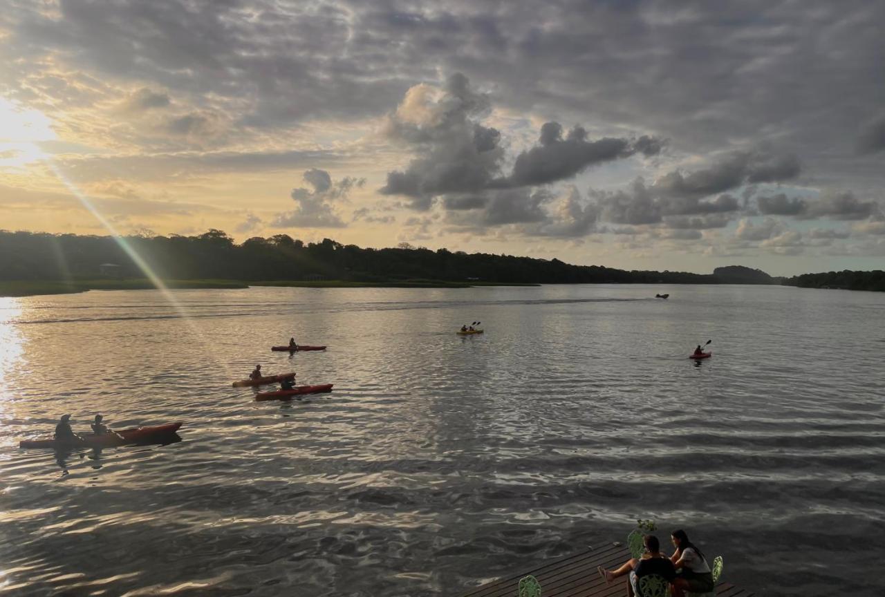 Los Amigos Jungle Hotel Tortuguero Exteriör bild