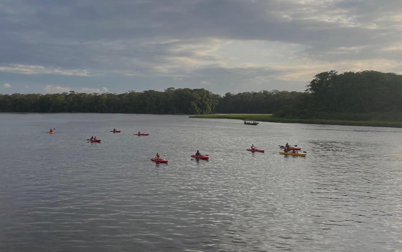 Los Amigos Jungle Hotel Tortuguero Exteriör bild