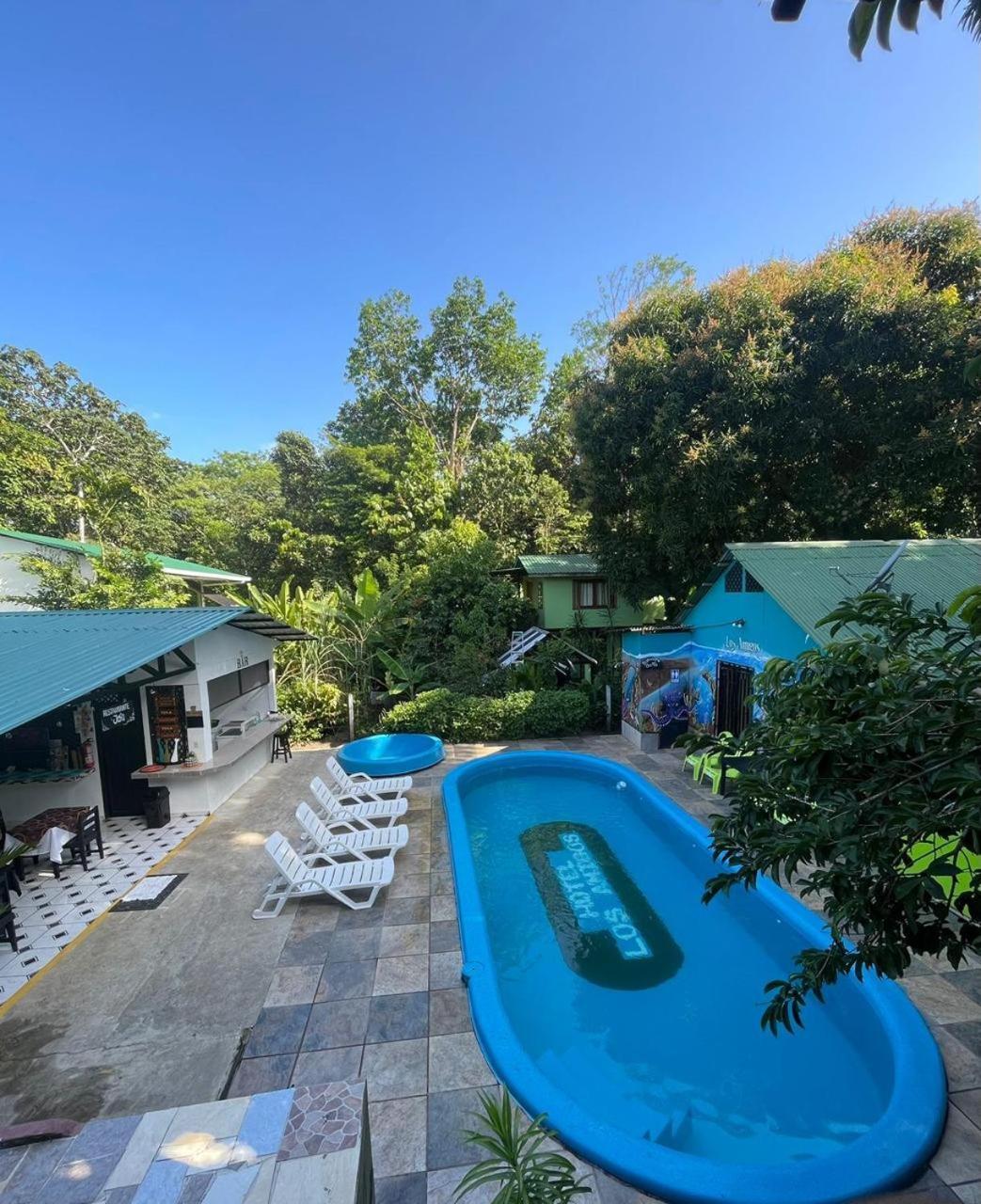 Los Amigos Jungle Hotel Tortuguero Exteriör bild